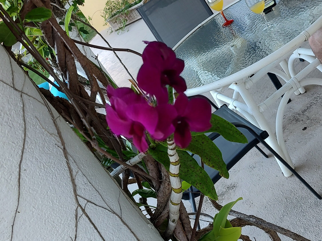 香格里拉精品民宿主图