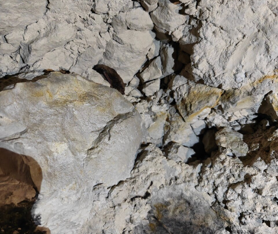 Daugbjerg Kalkgruber-斯基沃必去景点