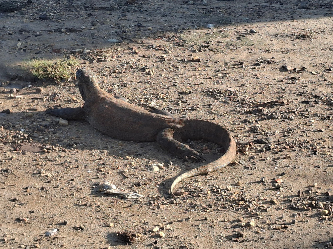 Gloria Tours & Travel-孟加锡必去景点