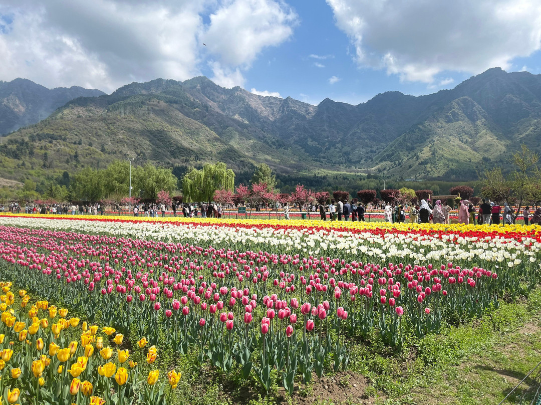 Adventures Kashmir-贡马必去景点