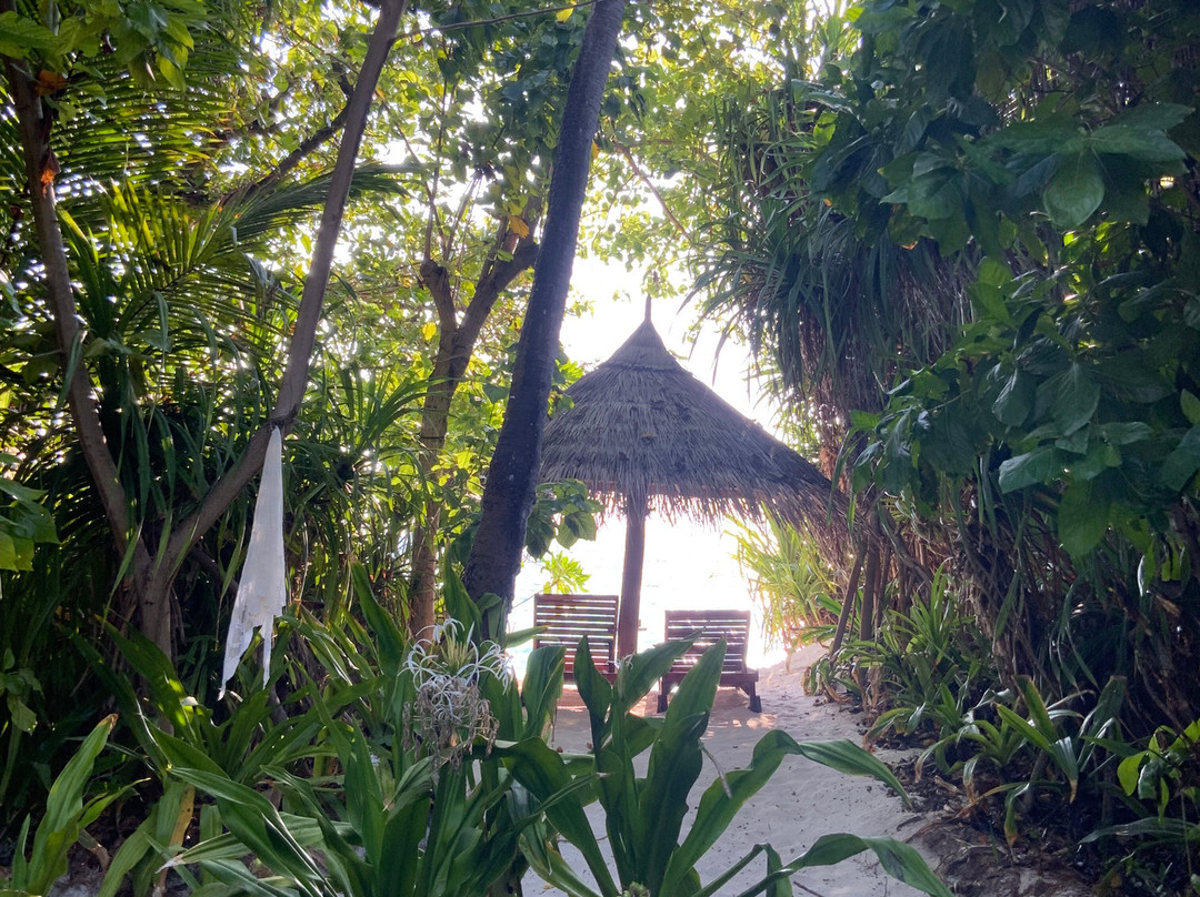 可可棕榈杜尼克鲁酒店主图