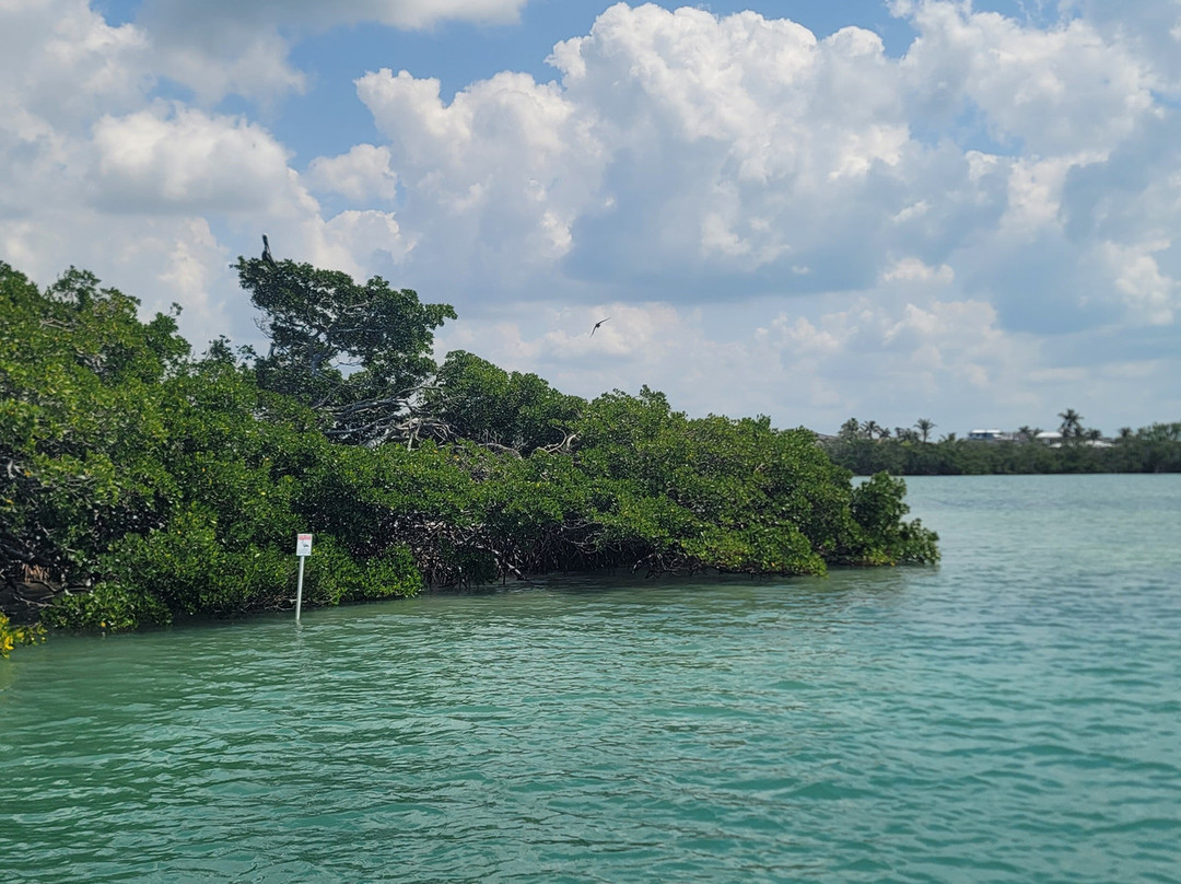 Island Boat Tours & Adventures-Bradenton Beach必去景点