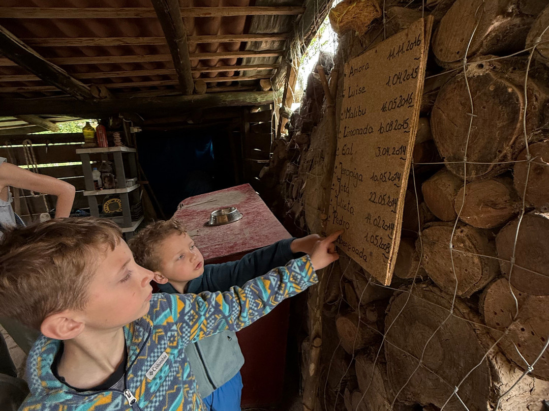 Happy-Donkeys Algarve-Monchique必去景点