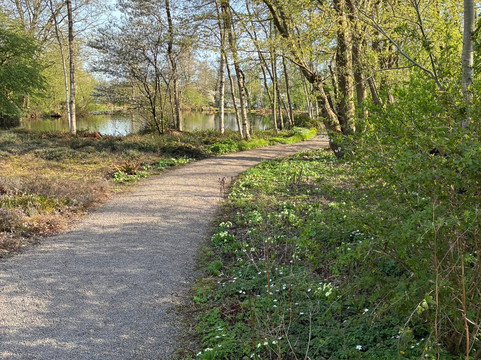 Jac P Thijssepark-阿姆斯特尔芬必去景点