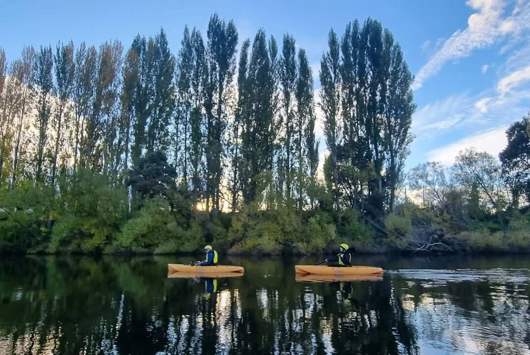Tassie Bound-New Norfolk必去景点