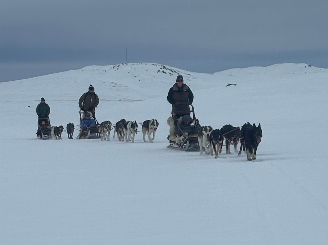 Geilo Husky Day Tours-耶卢必去景点