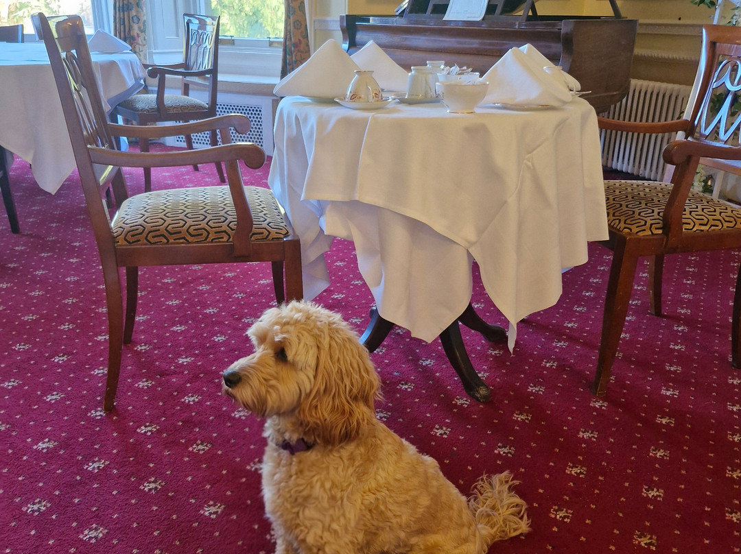 修道士冲击平原乡村别墅酒店主图