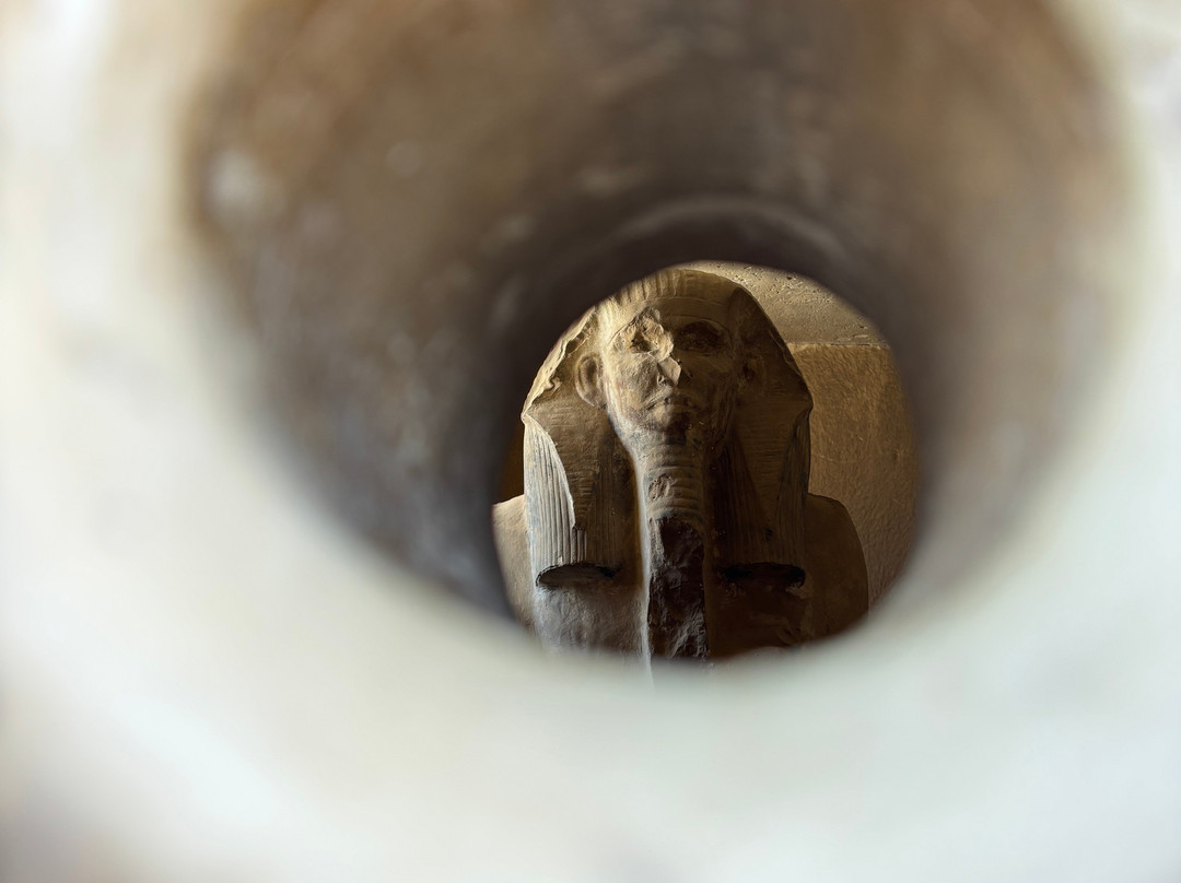 Desert Egypt Safari-开罗必去景点