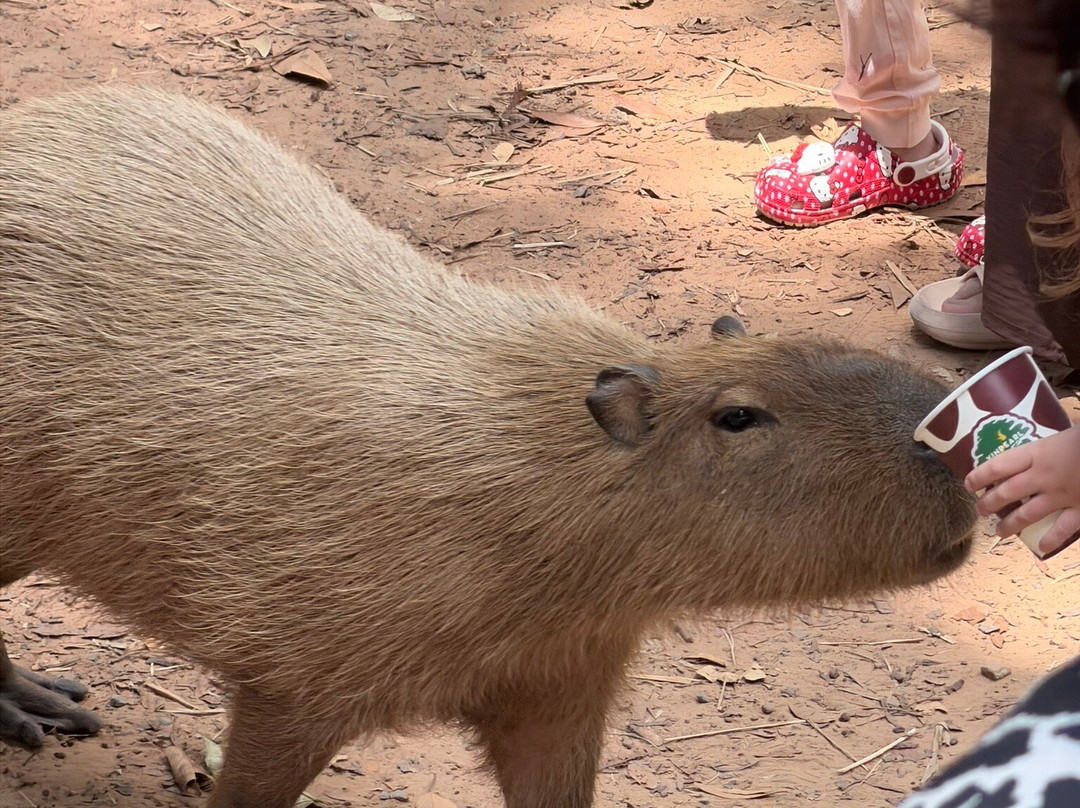 珍珠王国野生动物园-富国岛必去景点