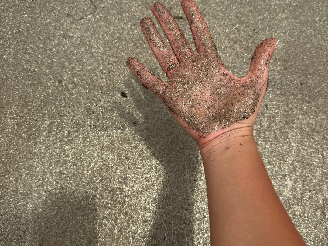 Eddison Safari Kenya-瓦塔木必去景点