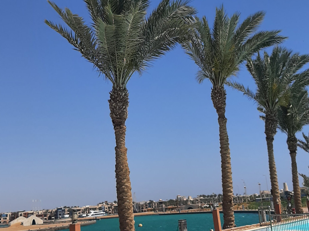 加利卜港滨海旅舍主图