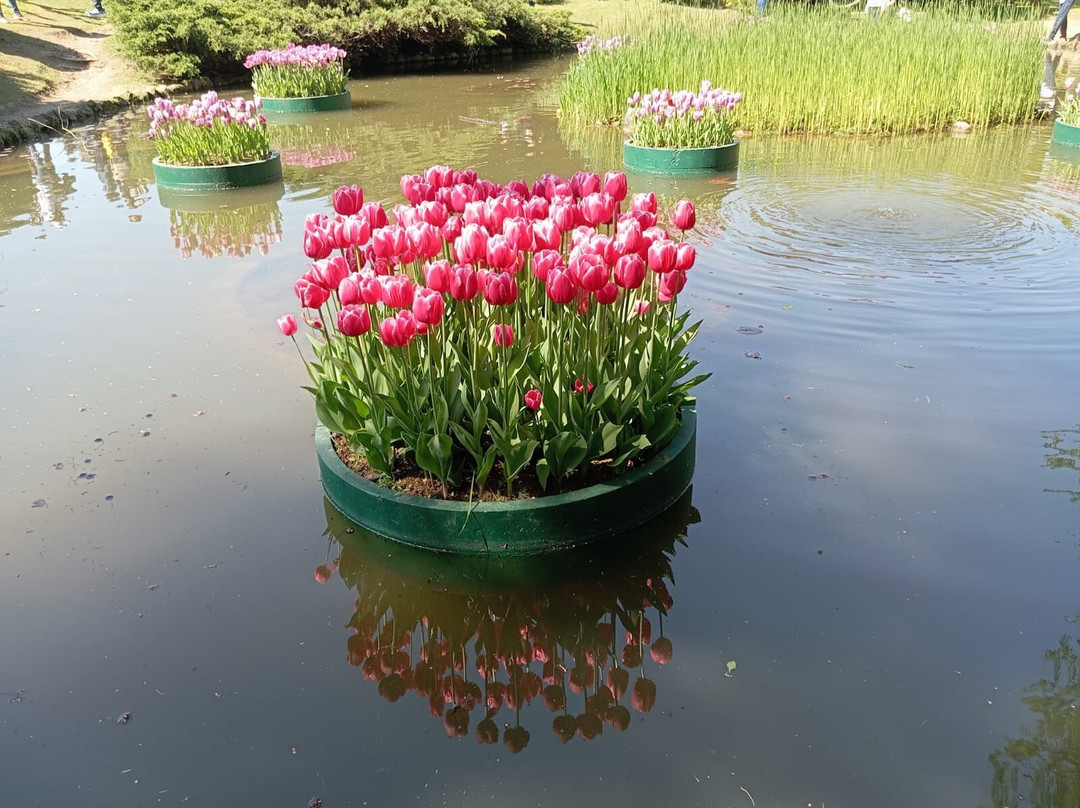 Parco Giardino Sigurtà-明乔河畔瓦莱焦必去景点