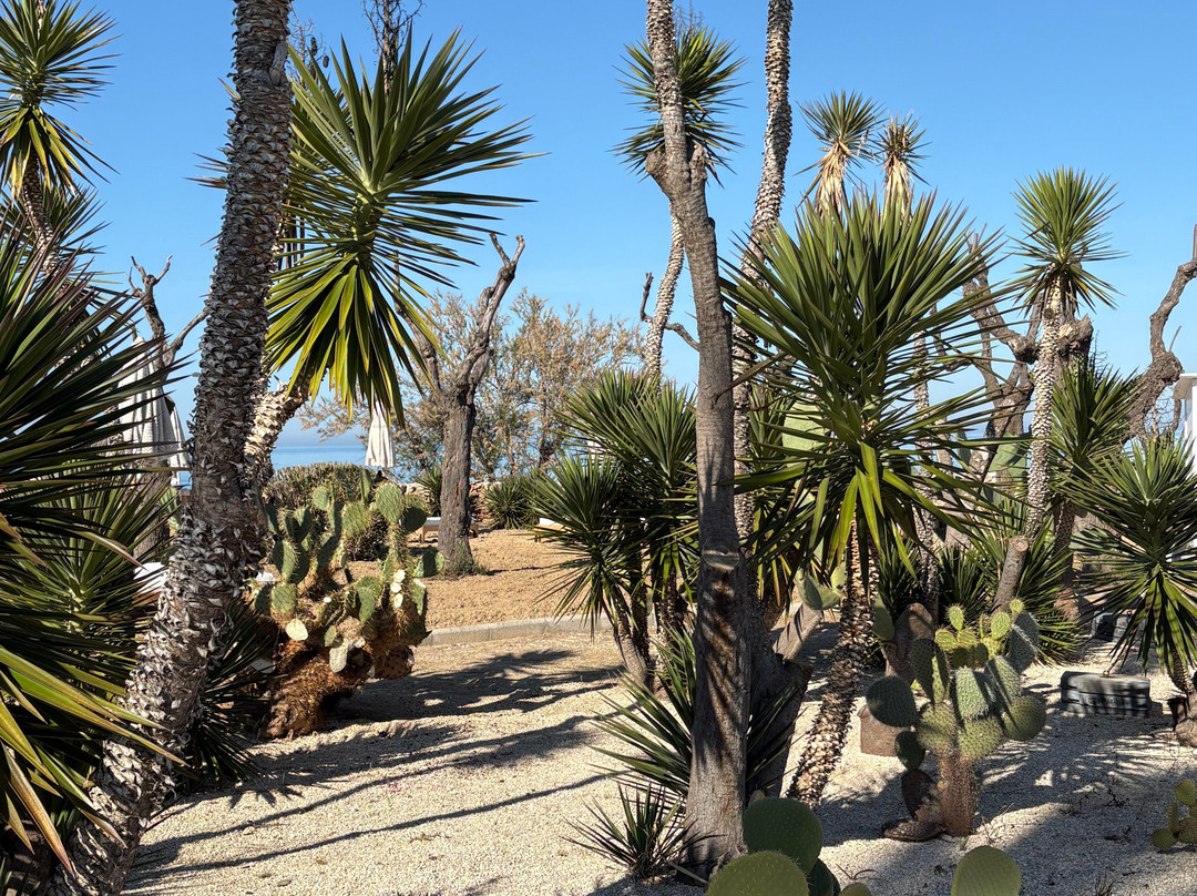 皮埃特拉布鲁Spa度假酒店 - CDS酒店主图