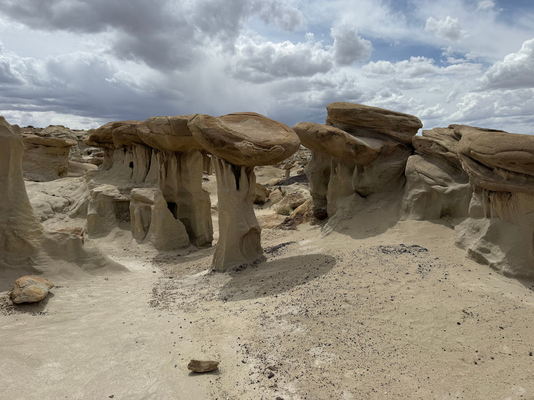 Navajo Tours USA-Nageezi必去景点