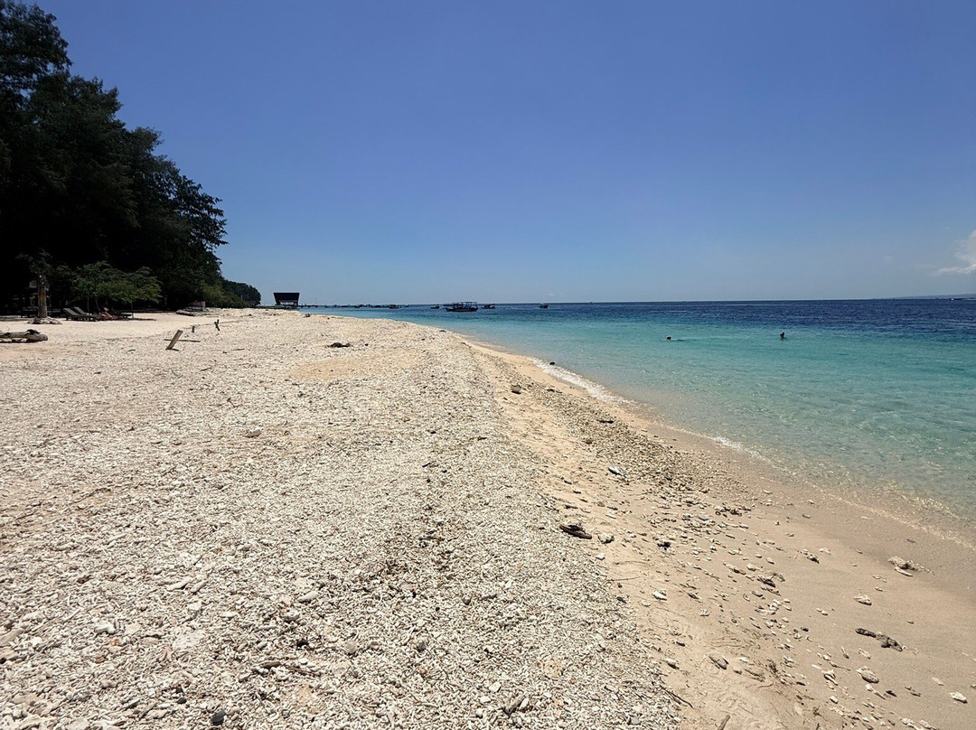 Gili Meno Turtle Sanctuary-Gili Meno必去景点
