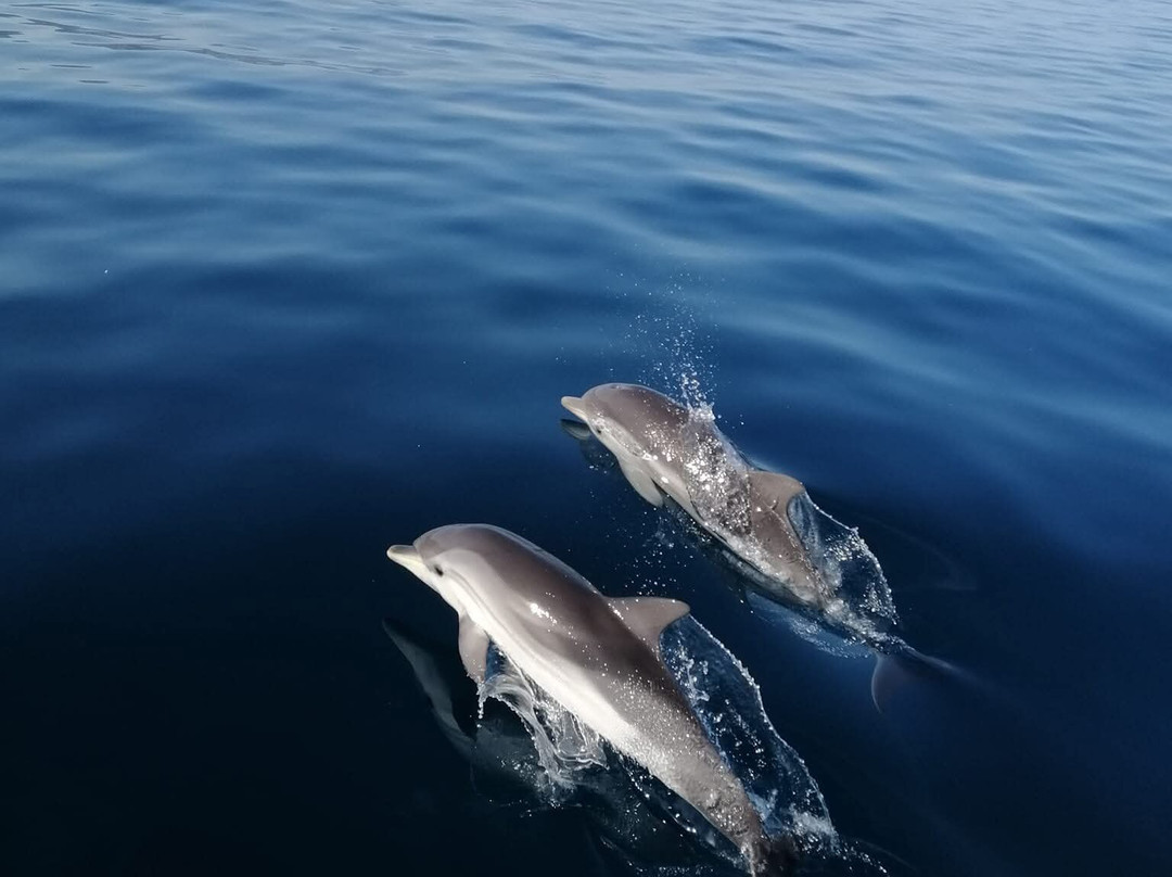 Boat Excursions Taormina-陶尔米纳必去景点