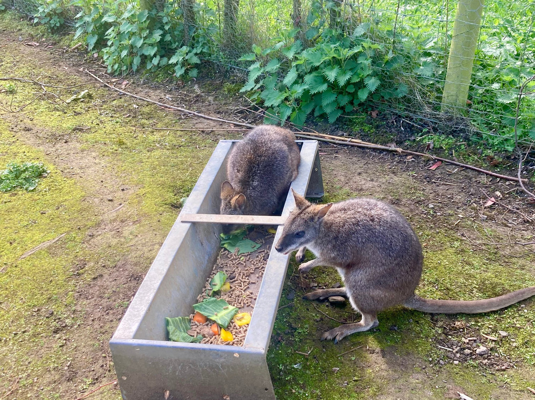 Northumberland College Zoo-Ponteland必去景点