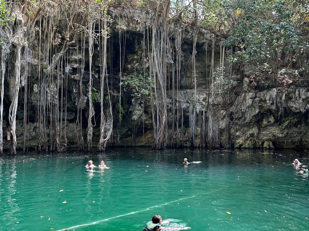 Cenote Yokdzonot-Yokdzonot必去景点