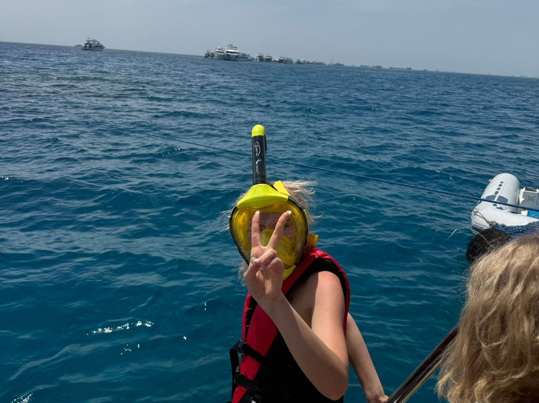 Bella Liveaboard-沙姆沙伊赫必去景点