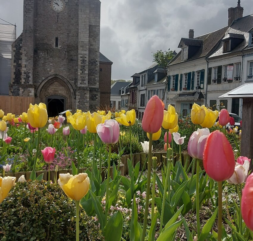 Église Saint-Martin-Saint-Valery-sur-Somme必去景点