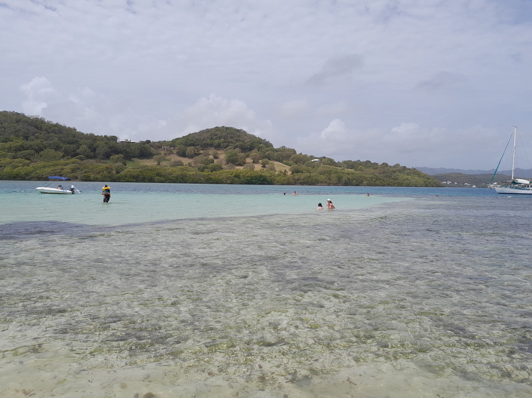 Catamaran Bwa Drese-Le Robert必去景点