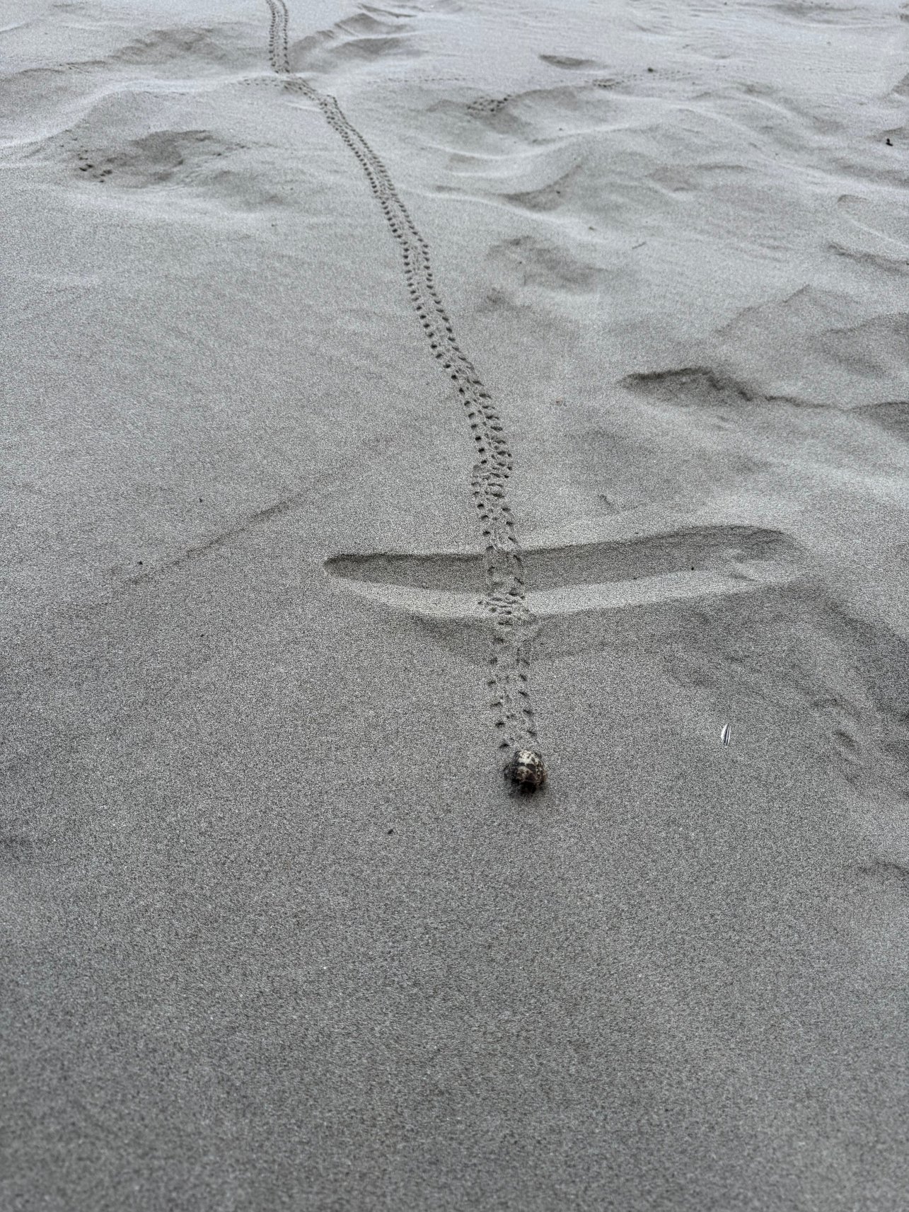 伊斯卡拉度假酒店-旅行者