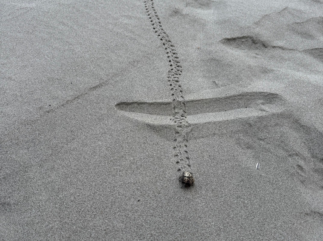 伊斯卡拉度假酒店主图