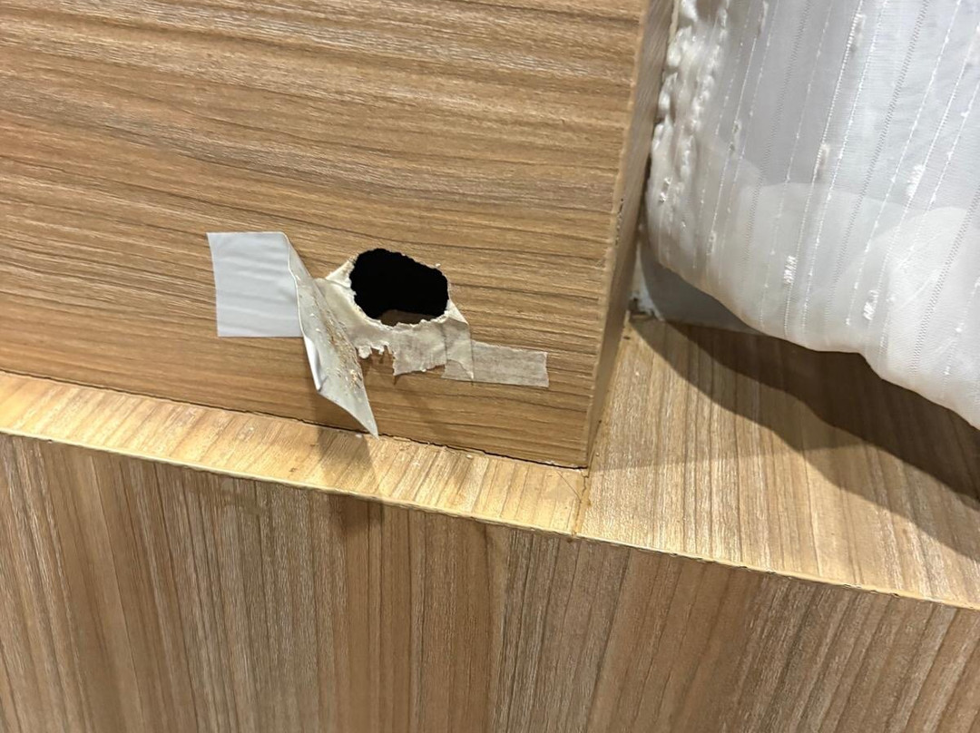 考索克雨林度假村主图