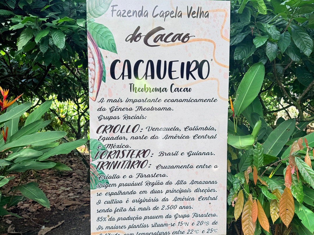 Fazenda Capela Velha-Urucuca必去景点