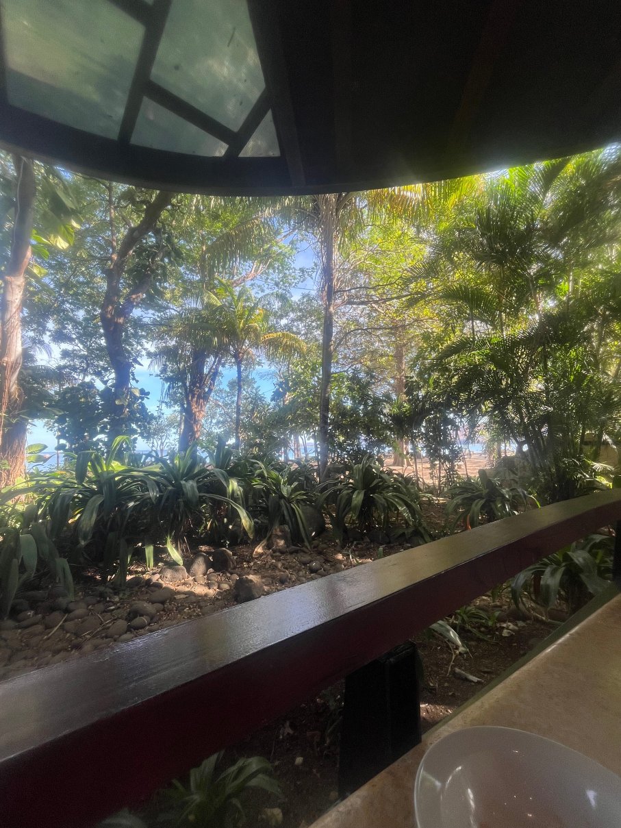 博斯克德尔玛普拉亚艾尔摩撒酒店-旅行者