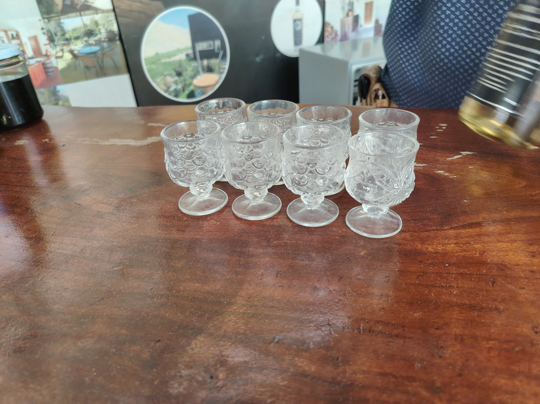 Doña Josefa de Elqui - Pisco Artesanal-Pisco Elqui必去景点