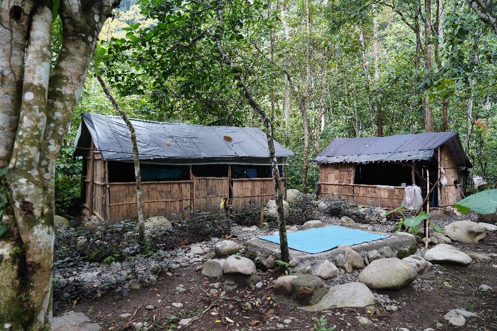 Bukit Lawang Jungle Trekking-武吉拉旺必去景点