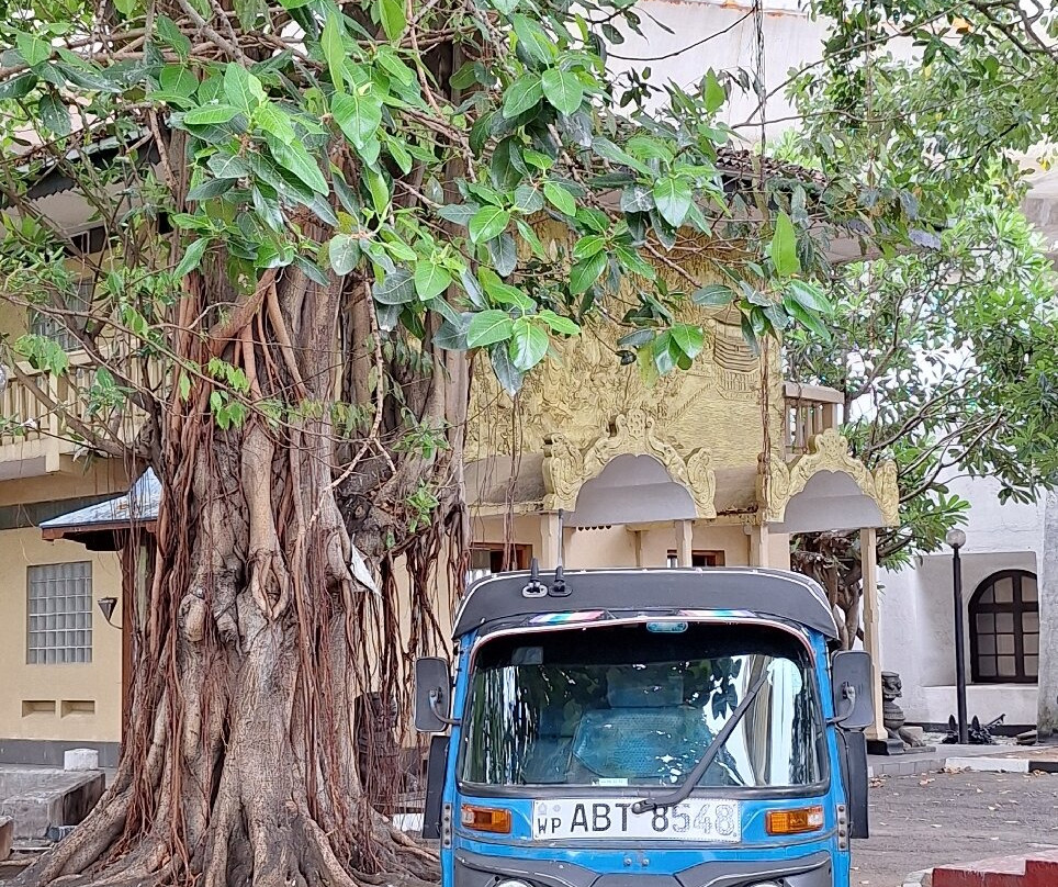 Tuk Tuk Safari Colombo-科伦坡必去景点