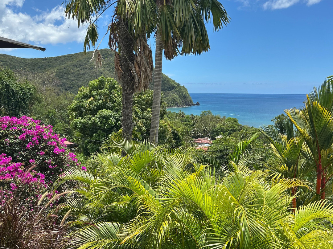 Rochers Caraibes-eco Village主图