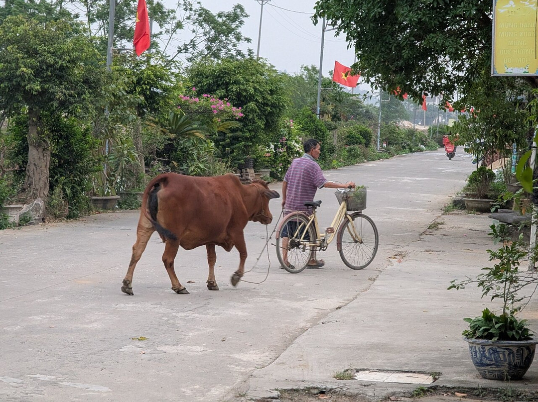 Nha Lua homestay