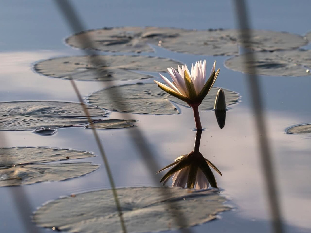 Okavango Delta-马翁必去景点