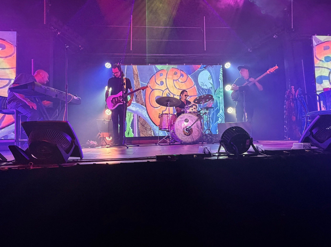 The Palm Cabaret and Bar-瓦拉塔港必去景点