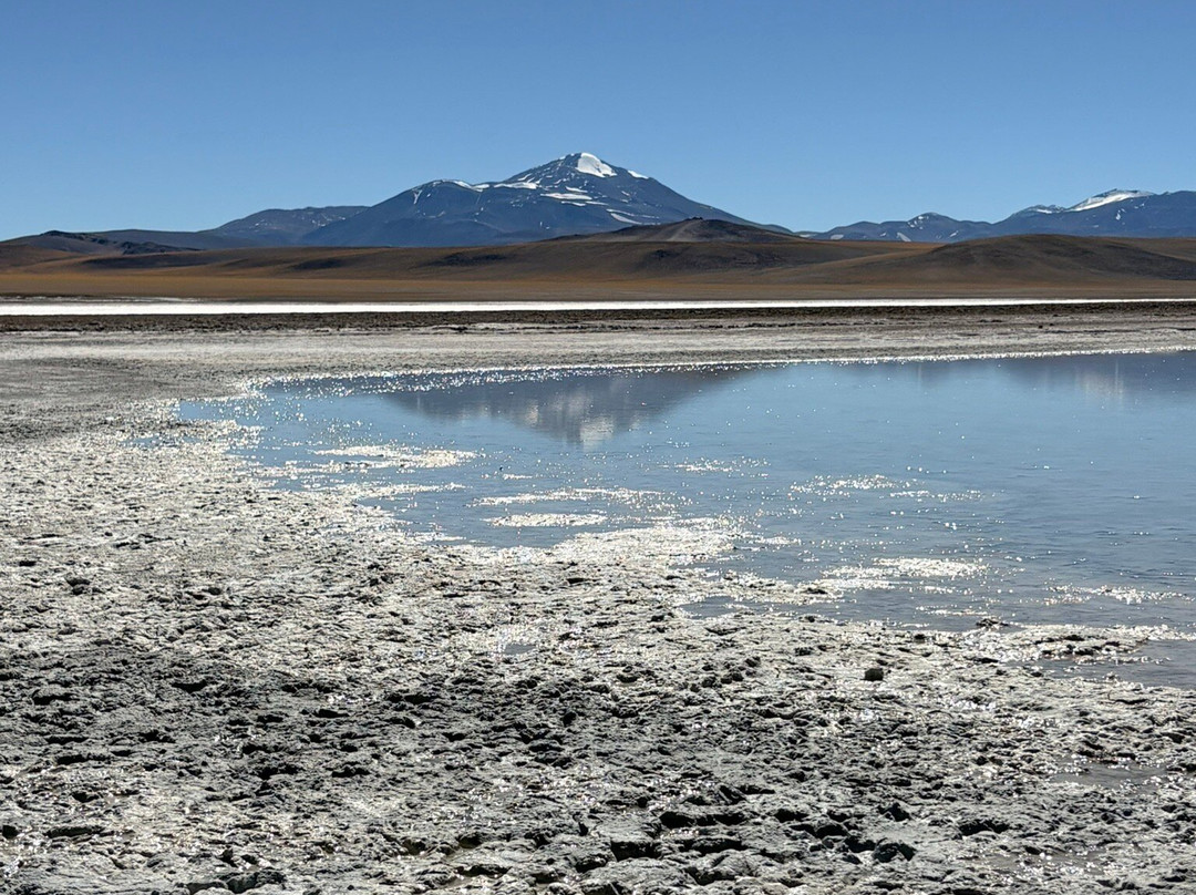 Laguna Brava Provincial Reserve-拉里奥哈必去景点