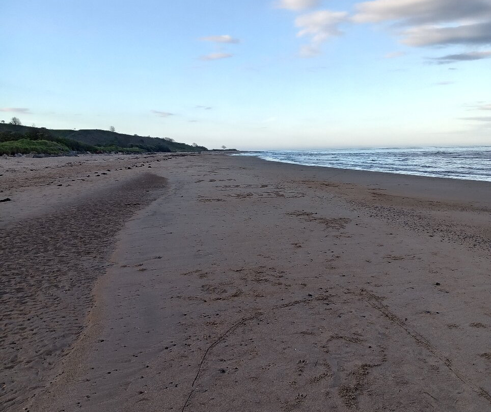 Alnmouth Beach-Alnmouth必去景点