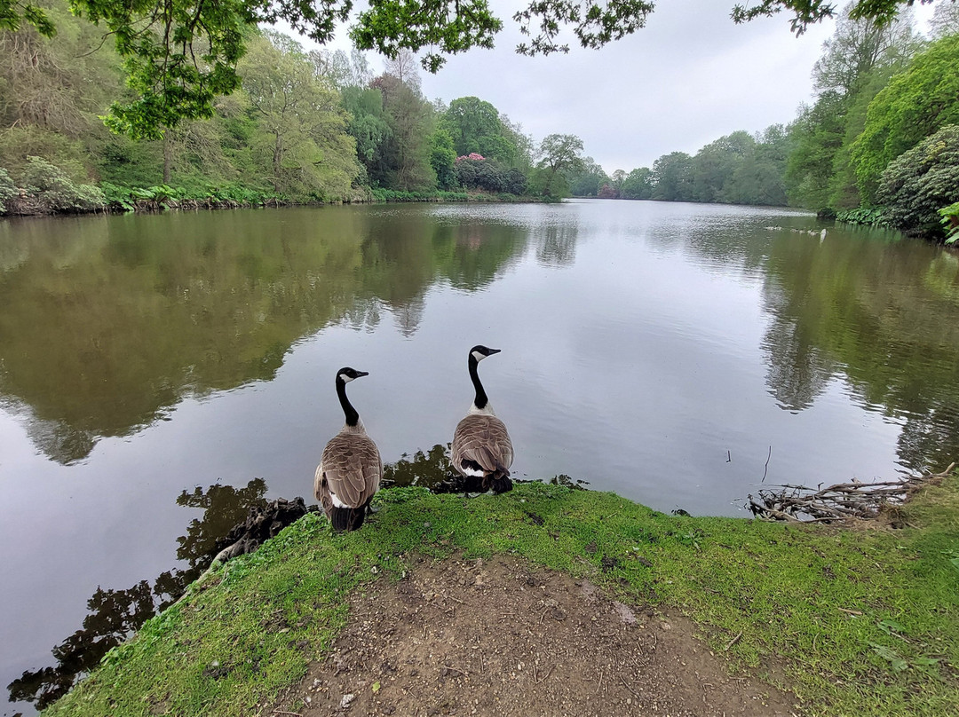 Sheffield Park And Garden-阿克菲尔德必去景点