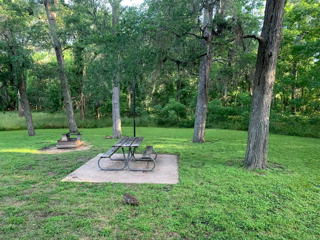 Stephen F. Austin State Park-San Felipe必去景点