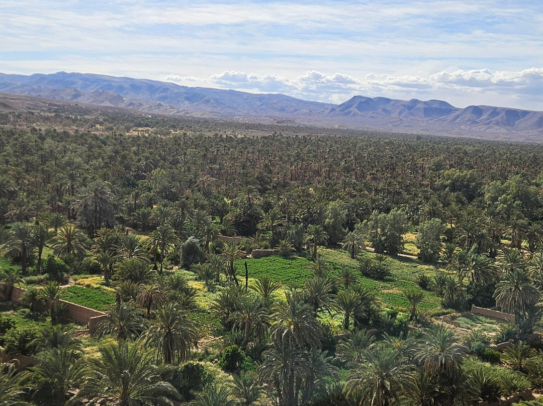 Discover Draa Valley-Agdz必去景点