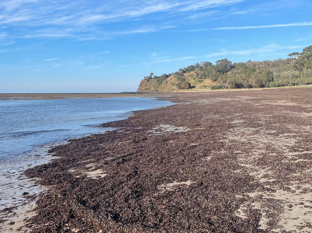 Shoreham Beach-Shoreham必去景点