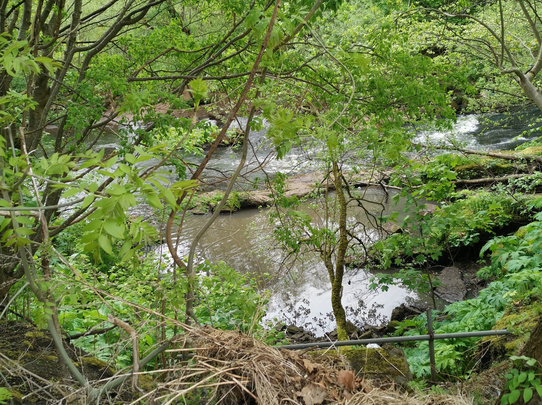 Kelvingrove Park-格拉斯哥必去景点