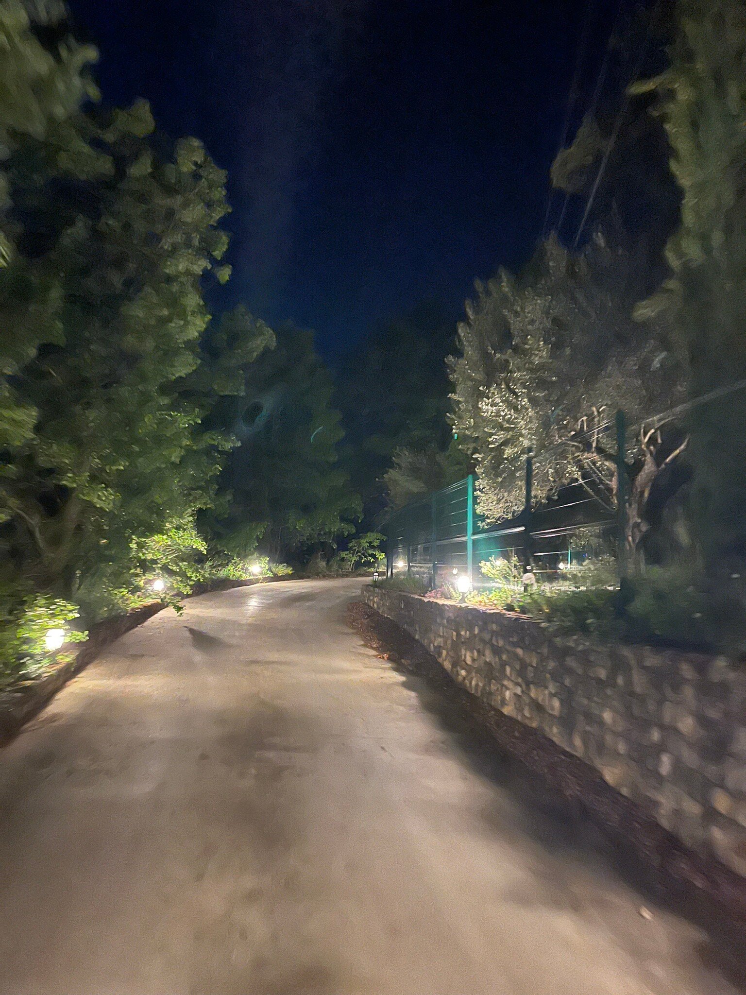 Sur les Hauteurs du Luberon-旅行者