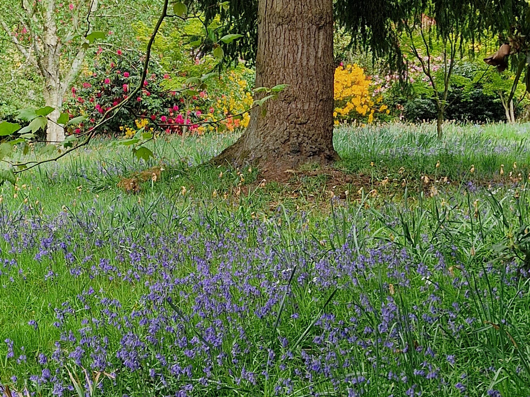 Stody Lodge Gardens-Melton Constable必去景点