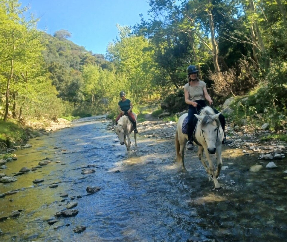 Horseriding Georgoupolis/ Grillo's Stable-Georgioupolis必去景点