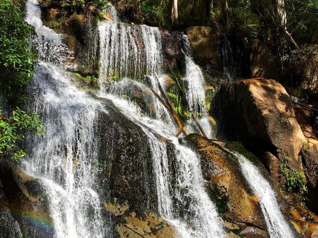 Toorongo Falls-Noojee必去景点