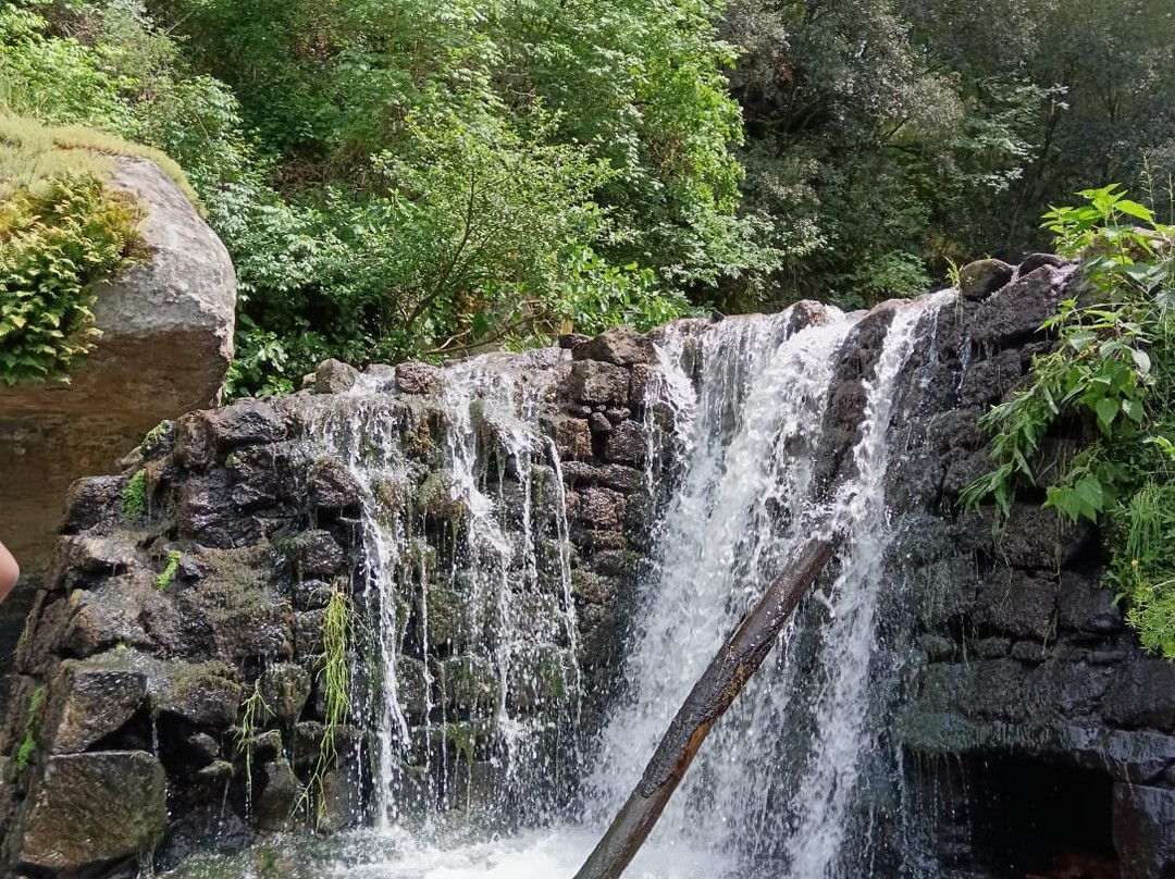Parco delle Cascate di Chia del Fosso Castello-Chia必去景点