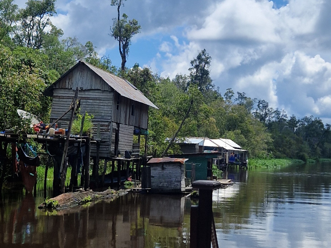 Orangutan Houseboat Tour-Kumai必去景点
